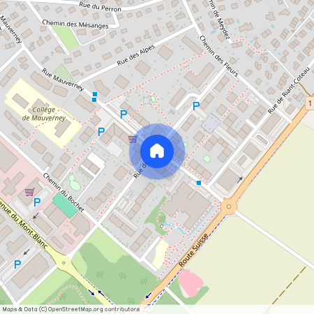 Rue Mauverney 26B, 1196 Gland