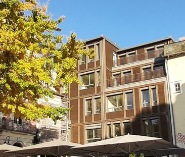 Appartement T1 à louer Rennes centre ville - 47 m² - Photo 5