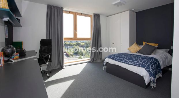 Premium Accessible Studio - Photo 1