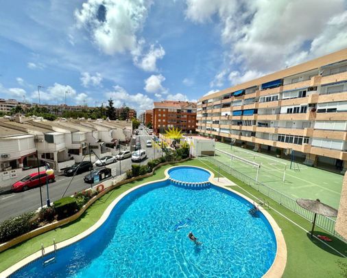 APARTMENT FOR RENT IN ACEQUION, NEAR THE CENTER IN TORREVIEJA - ALICANTE - Photo 1