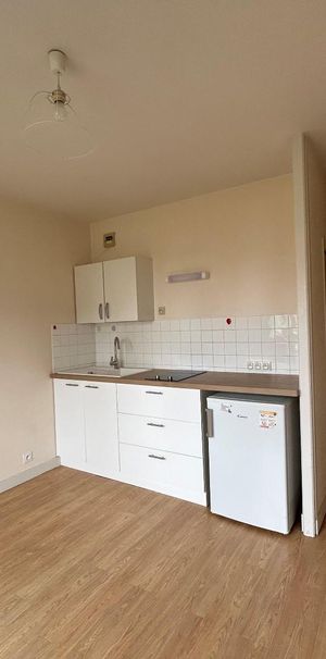 Location Appartement 1 pièce 18m² BLOIS 41000 - Photo 1