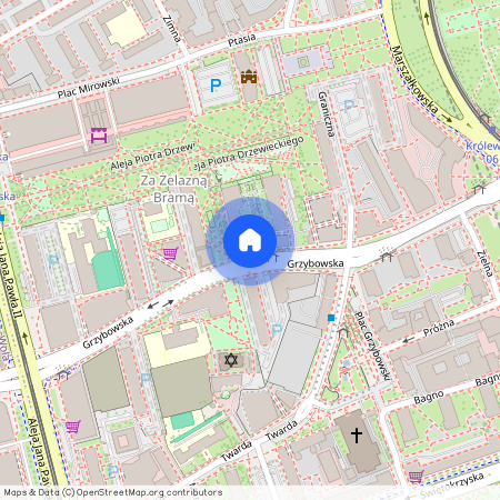 Warszawa, Śródmieście, Śródmieście, Północne, Grzybowska