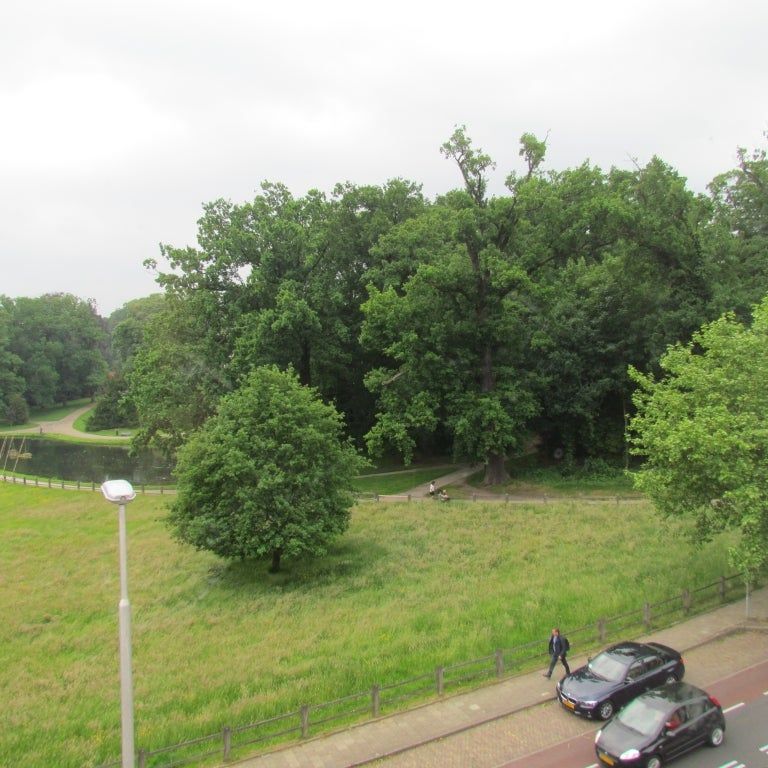 Te huur: Kamer Sonsbeekweg in Arnhem - Foto 1