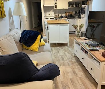 For Lease - 215 Hamilton Street Unit# Basement, Toronto, Ontario - Photo 1