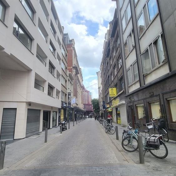 Gerenoveerd appartement | Antwerpen-Centrum - Foto 1