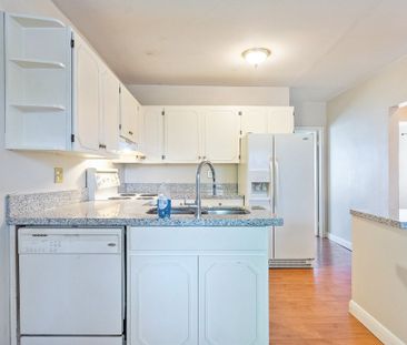 For Lease - 115 Stewart Street, Oakville, Ontario - Photo 3