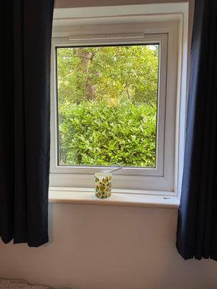 Room in a Shared House, Spindlewood Close, SO16 - Photo 1