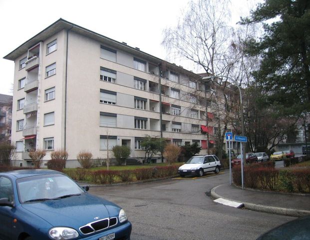 Cozy apartment in the center of Basel - Foto 1