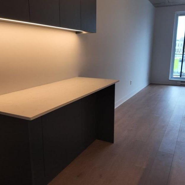 Appartement à louer - Montréal (Mercier/Hochelaga-Maisonneuve) (Hochelaga-Maisonneuve) - Photo 1