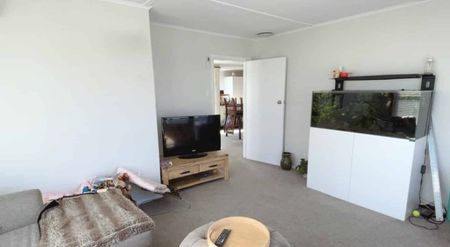 Hidden Gem - Photo 4