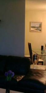 Spacious Furnished Harbourfront Condo - Photo 4