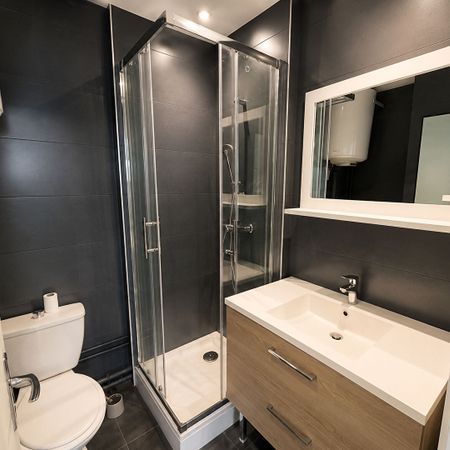 Location Appartement 1 pièce 19m² REIMS 51100 - Photo 4