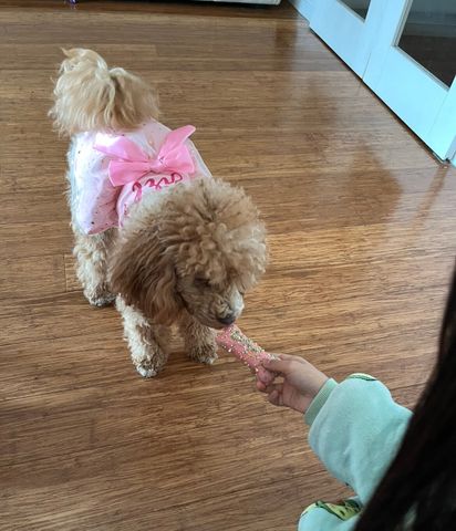 Edmondson Park - Photo 4