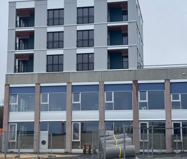 Estavayer-le-Lac, for rent, 3.5 room apartment, 84 m2 + garden - Photo 6