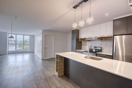 9675 Av. Papineau - Photo 3