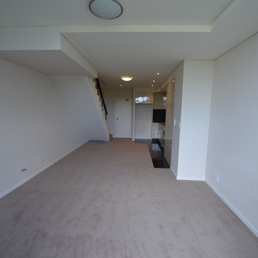 201/1 Lamond Lane, Zetland - Photo 1