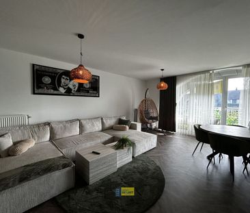 Molenheide 31, 2910, Essen - Photo 1