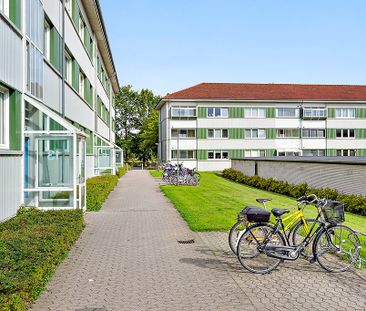 Afd. 51 Jennumparken 3 - Foto 4