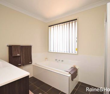 Beauty On Bowerbird - Photo 1