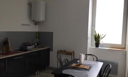 Location Appartement 2 pièces LIMOGES (87000) - Photo 2