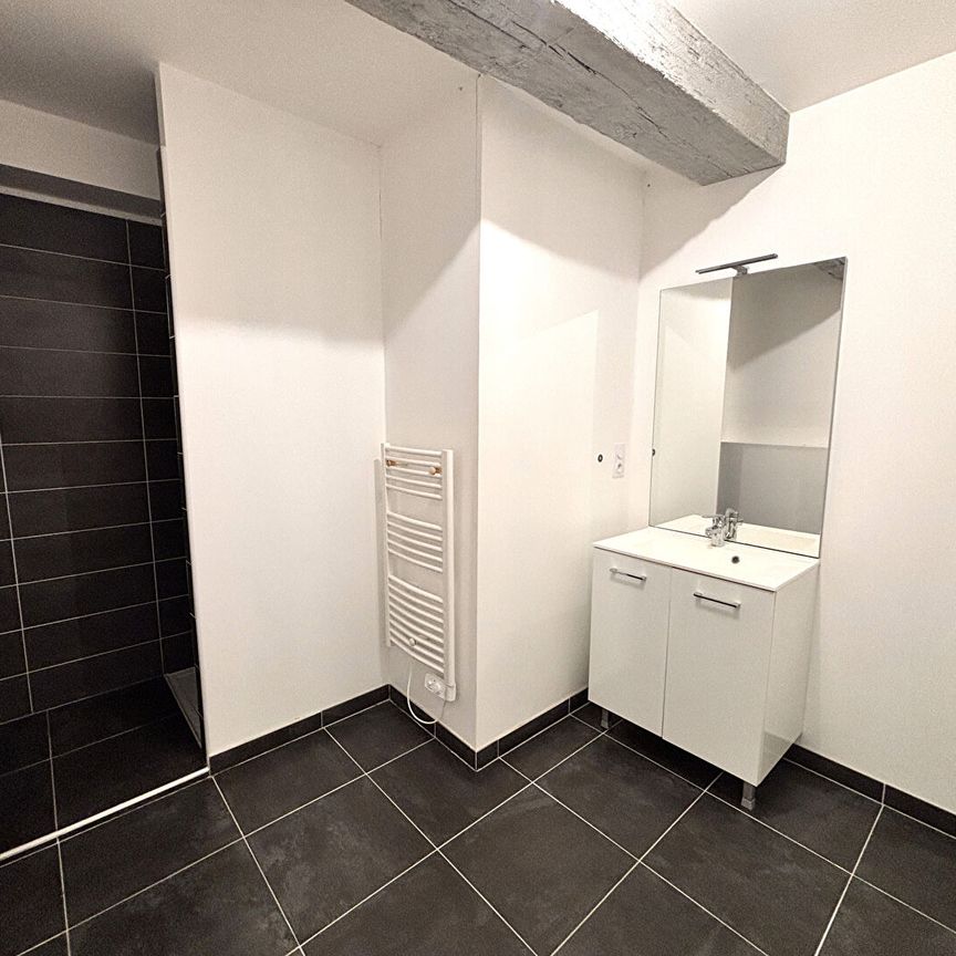 Location Appartement 1 pièce 42m² - Photo 1