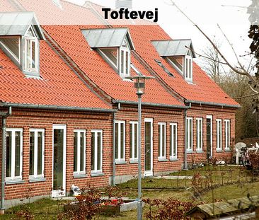 Rørsangervej,Teglvænget,Birkefredsvej 446-0 - Foto 3