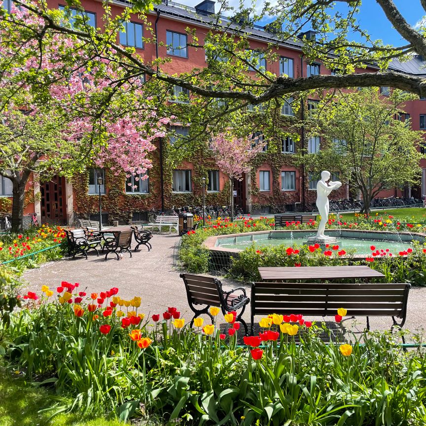Alströmergatan, Stockholm - Photo 1