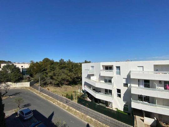 Location appartement 1 pièce 32.13 m² à Montpellier (34000) - Photo 1