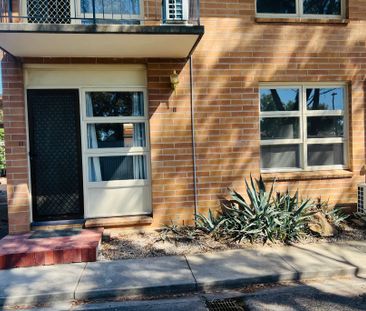 One Bedroom Cutie! - Photo 5