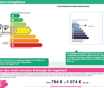 Lumière du Sud - Photo 5