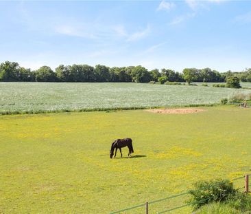 A beautifully presented family home situated within the popular loc... - Photo 6