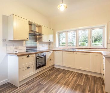 Newly renovated 3 bedroom bungalow situated in sought after location. - Photo 5