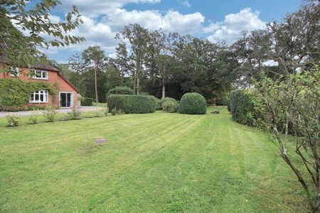 1 bedroom ground floor flat to rent - Photo 4