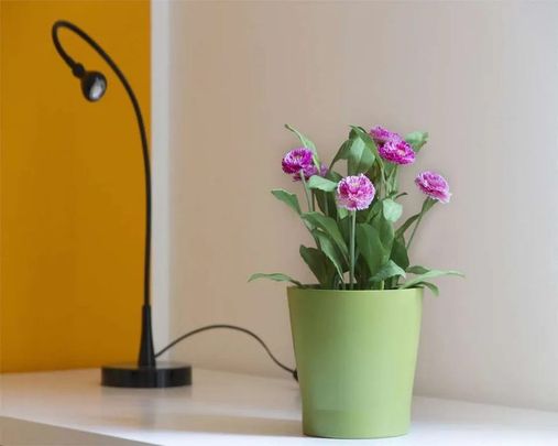 Via Salvatore Barzilai, Milan, Lombardy 20146 - Photo 1