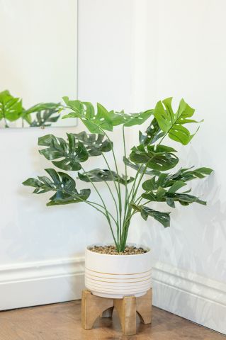 1 Bed Flat, Harrow Road, W10 - Photo 2