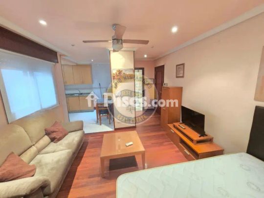 Estudio en alquiler en Avenida de Castrelos, cerca de Travesía de Canicouba - Photo 1
