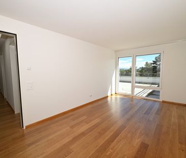 Modernes Terrassenhaus an ruhiger und zentraler Lage in Allschwil - Photo 2