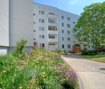 toller Blick über die Stadt - Foto 1