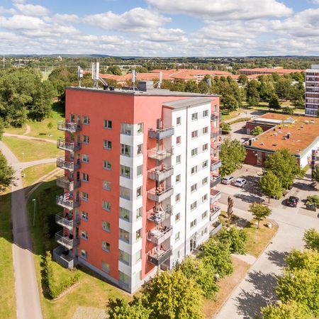 Grönevångs Torg, Halmstad - Foto 4