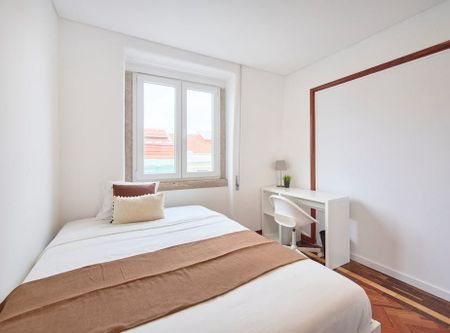 Rua Fialho de Almeida, Lisbon, Lisbon 1070 - Photo 4