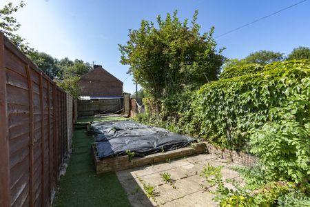 2 Bedroom - Photo 2