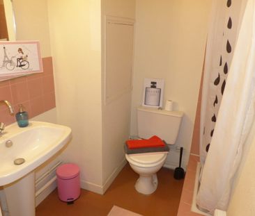 Location Appartement 1 pièce 17m² GRENOBLE 38000 - Photo 4