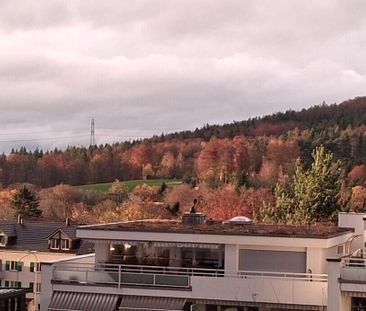 APPARTEMENT 3 PIÈCES À ZURICH - DISTRICT 7, MEUBLÉ, TEMPORAIRE - Foto 6