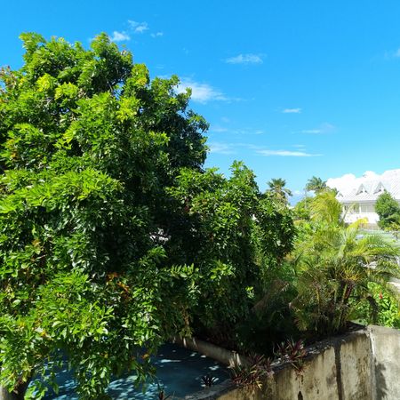 Location Appartement 1 pièce 20m² ST DENIS 97400 - Photo 4