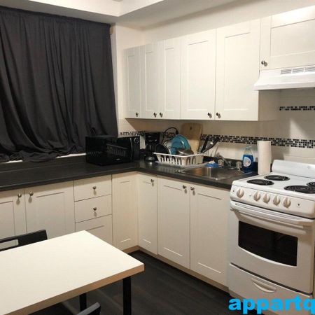 Montréal – Côte-des-Neiges – Place Lucy – Beautiful 1 bedroom apartments for Rent - Photo 3
