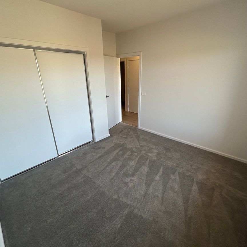 Somerville - Photo 2