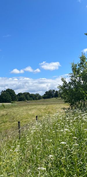 Vrinnevi Aspliden, Norrköping - Photo 1