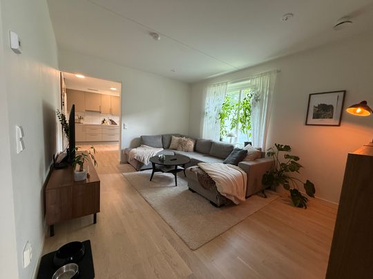 Vikaholmsallen, Växjö - Photo 1