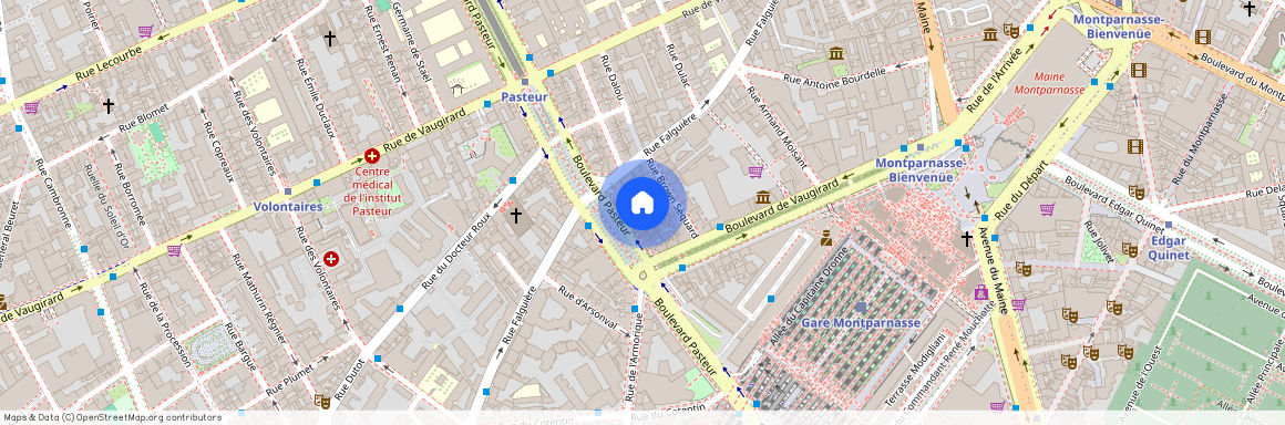 Pasteur Montparnasse, Paris 15Ème