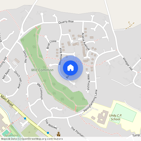 Birch Close, Undy, Caldicot, Mon. NP26 3LW